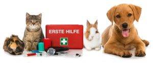 Online Tierapotheke